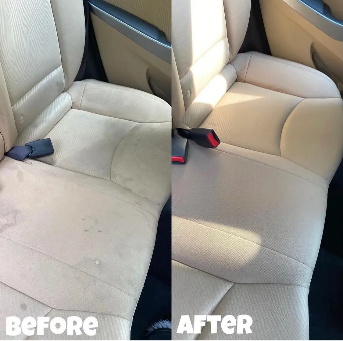 Stain Removal by Moose Automotive Detailing
