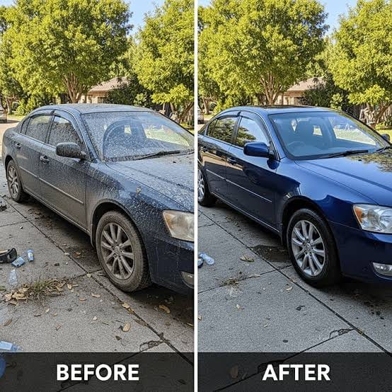 Moose Automotive Detailing featured project